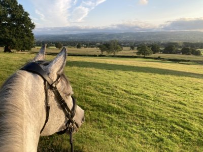 IMG_8820.jpeg IMG_8820.jpeg