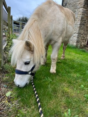 2D405968-E04E-4819-AD42-837CE97E51E3.jpeg 2D405968-E04E-4819-AD42-837CE97E51E3.jpeg