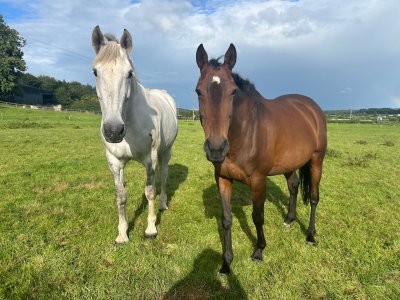 IMG_4096.jpeg IMG_4096.jpeg