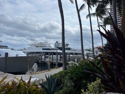 IMG_3425.jpeg IMG_3425.jpeg