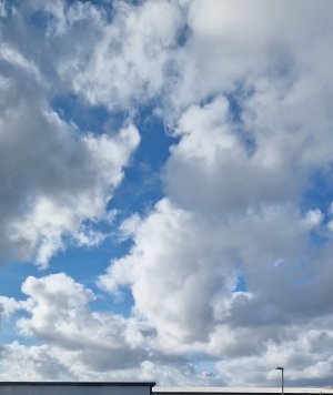 20241018_130206.jpg