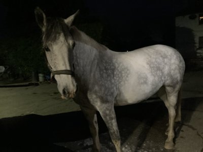 IMG_9162.jpeg IMG_9162.jpeg