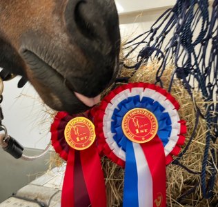 IMG_8617.jpeg IMG_8617.jpeg