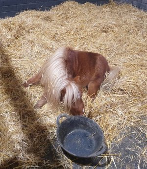 Screenshot_20241020_195546_Gallery.jpg Screenshot_20241020_195546_Gallery.jpg