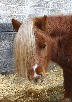 Screenshot_20241020_195348_Gallery.jpg Screenshot_20241020_195348_Gallery.jpg