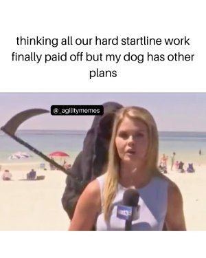 462857047_535755249400797_7488160827224418472_n.jpg 462857047_535755249400797_7488160827224418472_n.jpg