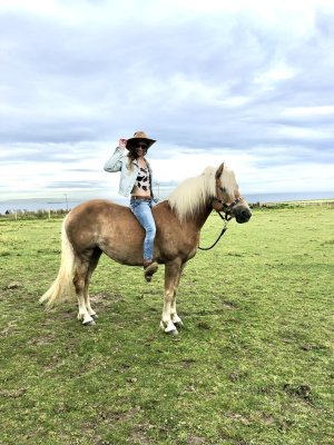 IMG_0667.jpeg IMG_0667.jpeg