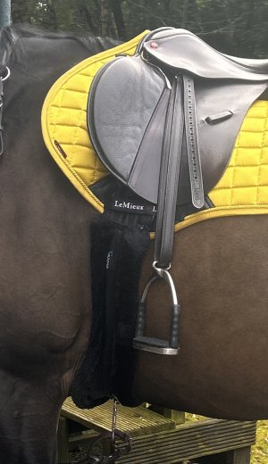 IMG_6601.jpeg IMG_6601.jpeg