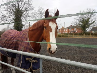 16715901_10208232760000680_8604076937919080362_o.jpg 16715901_10208232760000680_8604076937919080362_o.jpg