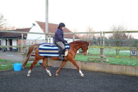 10371181_10203213087672009_8832850766727644778_o.jpg 10371181_10203213087672009_8832850766727644778_o.jpg