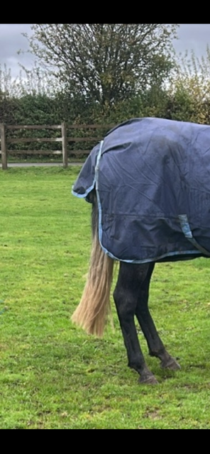 IMG_0205.png IMG_0205.png