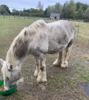 After.JPEG After.JPEG