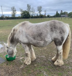 After2.JPEG After2.JPEG