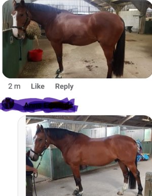 Screenshot_20241024_110134_Photo Editor.jpg