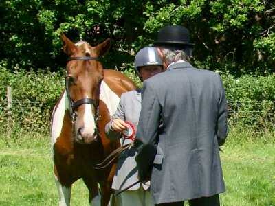 IMG_3082.jpeg IMG_3082.jpeg