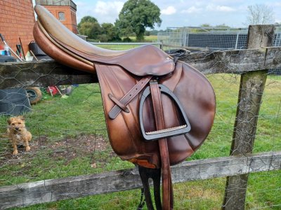 Saddle.jpg Saddle.jpg