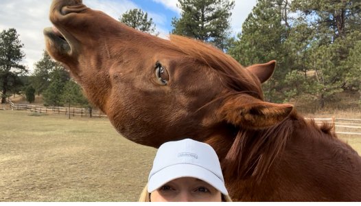 IMG_3574.jpeg IMG_3574.jpeg