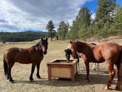 IMG_3568.jpeg IMG_3568.jpeg