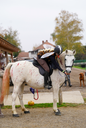 Screenshot 2024-10-28 at 10.06.39.png