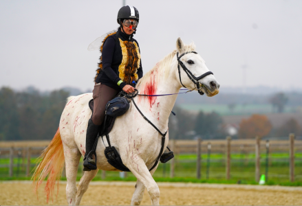 Screenshot 2024-10-28 at 10.06.16.png