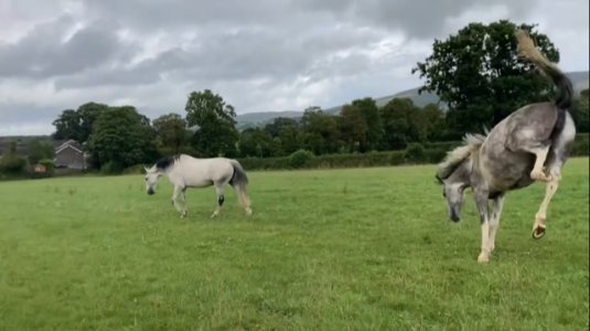 IMG_9286.jpg IMG_9286.jpg