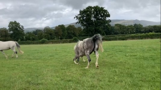 IMG_9288.jpg IMG_9288.jpg