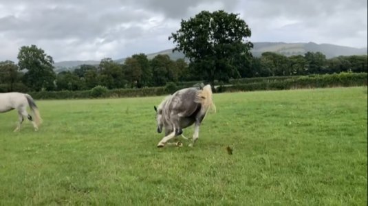 IMG_9289.jpg IMG_9289.jpg