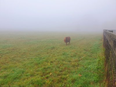 Screenshot_20241031_102231_Gallery.jpg Screenshot_20241031_102231_Gallery.jpg