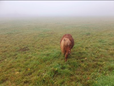 Screenshot_20241031_102240_Gallery.jpg Screenshot_20241031_102240_Gallery.jpg