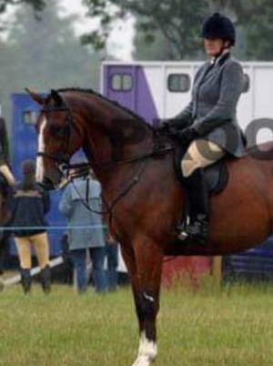 1730380813496.png 1730380813496.png