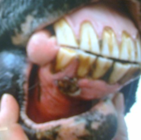 1730380924097.png 1730380924097.png