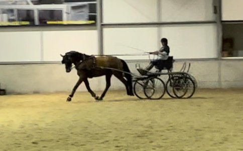 IMG_9976.jpeg IMG_9976.jpeg