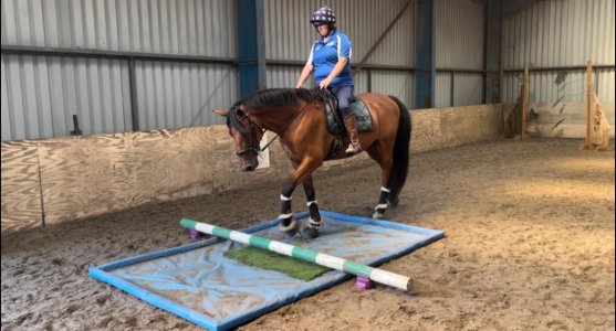 IMG_9975.jpeg IMG_9975.jpeg