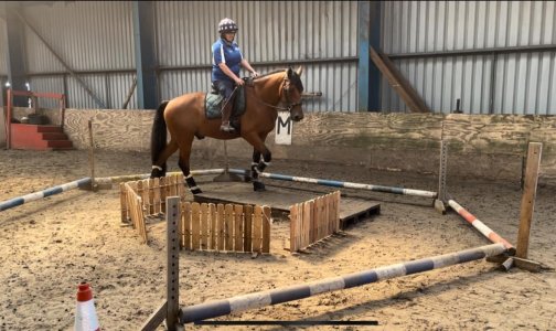 IMG_9979.jpeg IMG_9979.jpeg