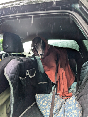 1730648734010.png 1730648734010.png