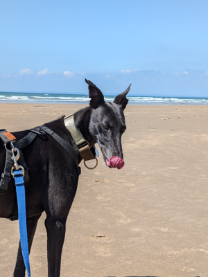 1730648756665.png 1730648756665.png