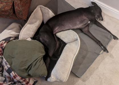 1730648871466.png 1730648871466.png