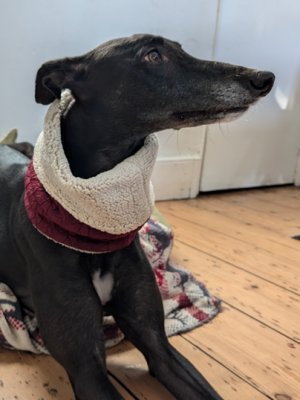 1730648910181.png 1730648910181.png