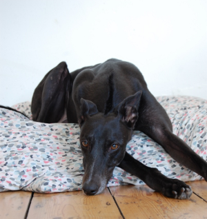 1730649050991.png 1730649050991.png