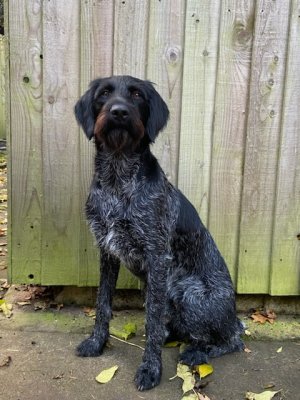 537D3758-586A-4EB3-A1BC-3A86C713C951.jpeg 537D3758-586A-4EB3-A1BC-3A86C713C951.jpeg