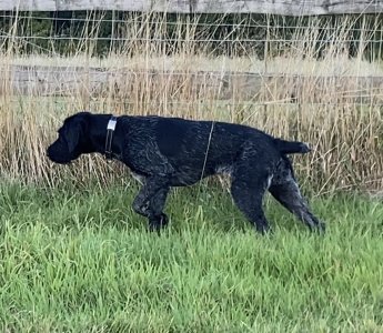 9F813CCE-50C3-4626-8CEF-4F2EB611C7F5.jpeg 9F813CCE-50C3-4626-8CEF-4F2EB611C7F5.jpeg