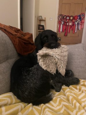 B118276C-B84C-4903-B0DE-E22D1CC04C3D.jpeg B118276C-B84C-4903-B0DE-E22D1CC04C3D.jpeg