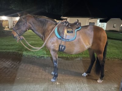 IMG_2866.JPG IMG_2866.JPG