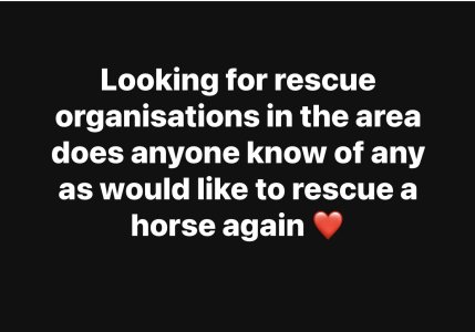 IMG_1677.jpeg IMG_1677.jpeg