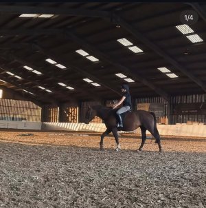 thumbnail_image0 (1).jpg thumbnail_image0 (1).jpg