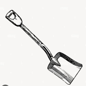 IMG_1689.jpeg IMG_1689.jpeg