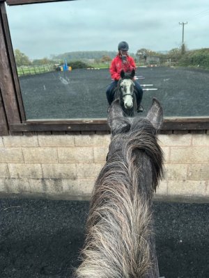 IMG_0289.jpeg IMG_0289.jpeg