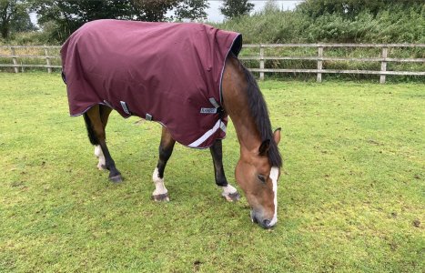 IMG_1694.jpeg IMG_1694.jpeg