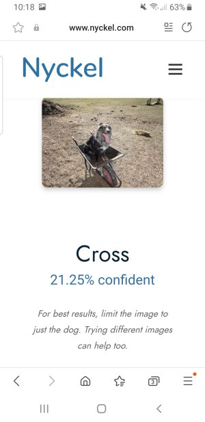 Screenshot_20241109-101805_Samsung Internet.jpg