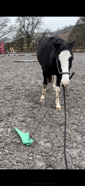 IMG_8434.PNG IMG_8434.PNG